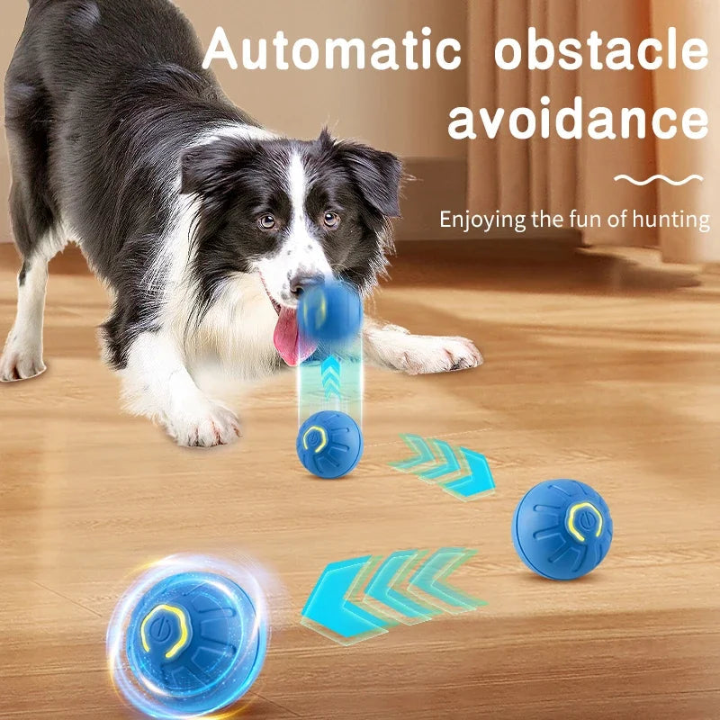 PET PRODUCT