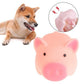 Pet Product Rubber Dog Toy with Thorn Bone Rubber Molar Teeth Pet Toy Dog Bite Resistant Molar Training Grinding Teeth Toys