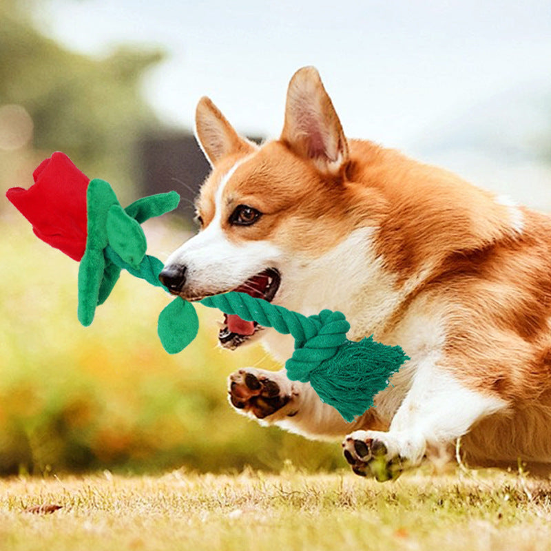 Dog Toy Rose Flower Plush Durable Biting Tooth Cleaning Cotton Rope Knot Crinkle Sound Self-Entertainment Interactive Pet Product