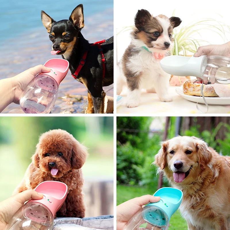 PET PRODUCT